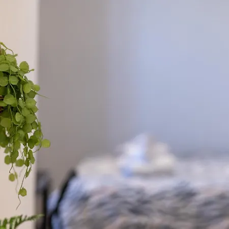 Apartment Le Rayon Neuf & Cosy - Gare Parilly